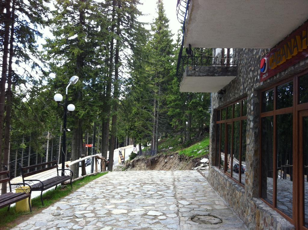 Cabana Haiducilor Rânca Extérieur photo